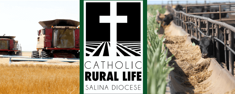 https://salinadiocese.org/wp-content/uploads/2020/10/Untitled-design-20.png